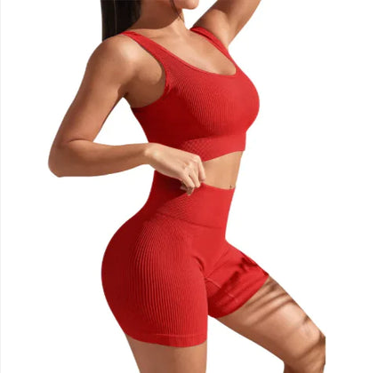 Nielia Seamless Fitness